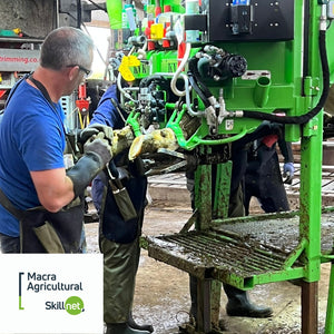 Webinar Introduction to Hoofcare:  How much is lameness costing you?
