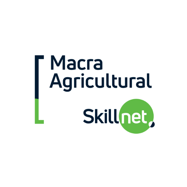 DIY AI courses organised until the end of the year